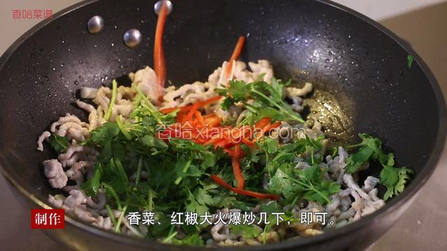 热锅内下油倒入葱姜蒜进行爆香，在加入肉丝、盐、味精、白糖、料酒、胡椒粉、香菜、红椒转大火爆炒几下即可出锅装盘