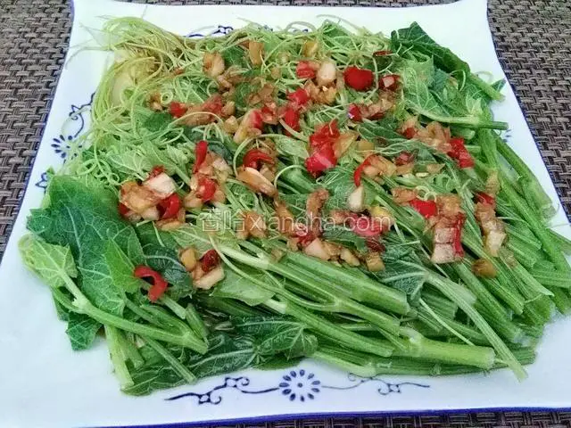 凉拌龙须菜