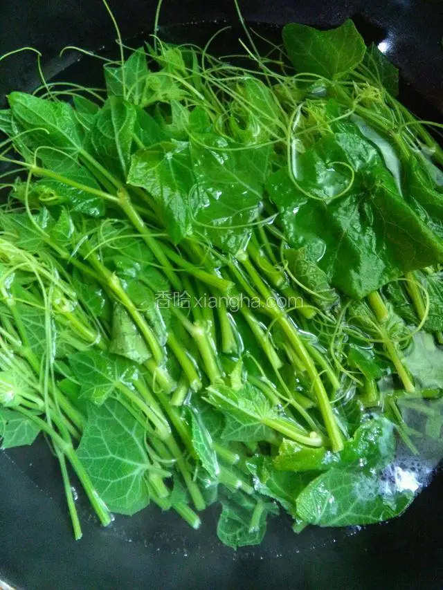 锅内烧开水，下入龙须菜焯一下，焯熟既可捞起沥干水分