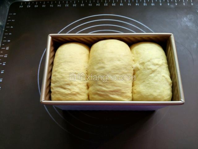 烤箱中放碗热水，放入吐司模，发酵40分钟左右，我的面团已经超过模具了