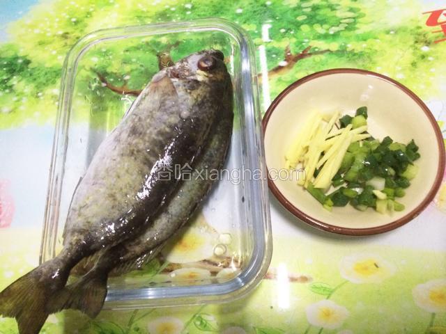泥猛鱼用盐腌制30分钟，切葱花，切姜丝。
