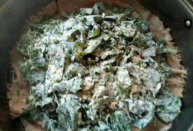 现在水也开啦！把拌好的红薯叶上屉蒸十分钟