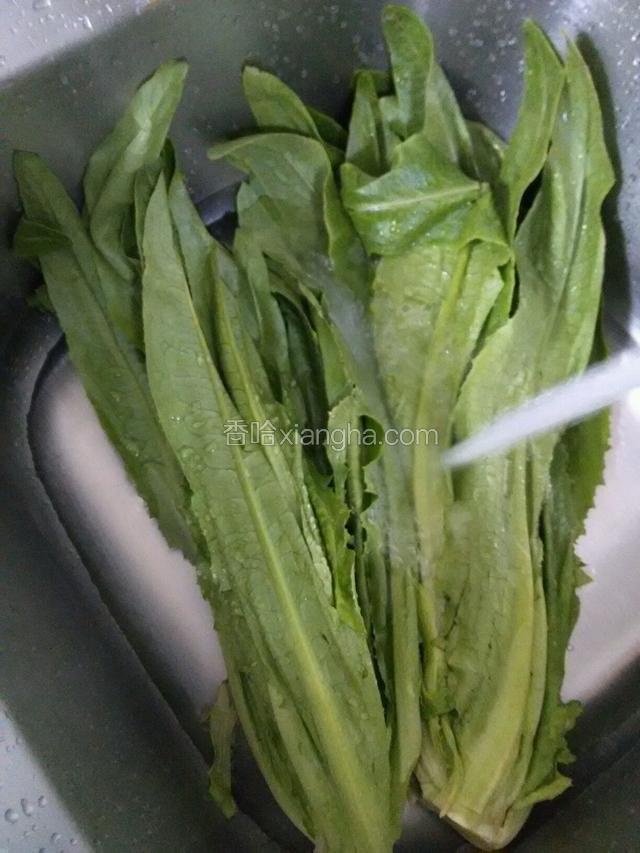 谁备好油麦菜