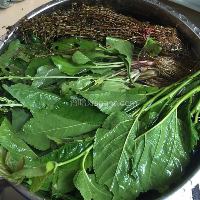 把三种凉茶食材浸泡半个钟 并清洗干净