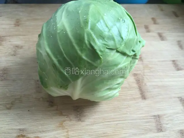 准备一个卷心菜。