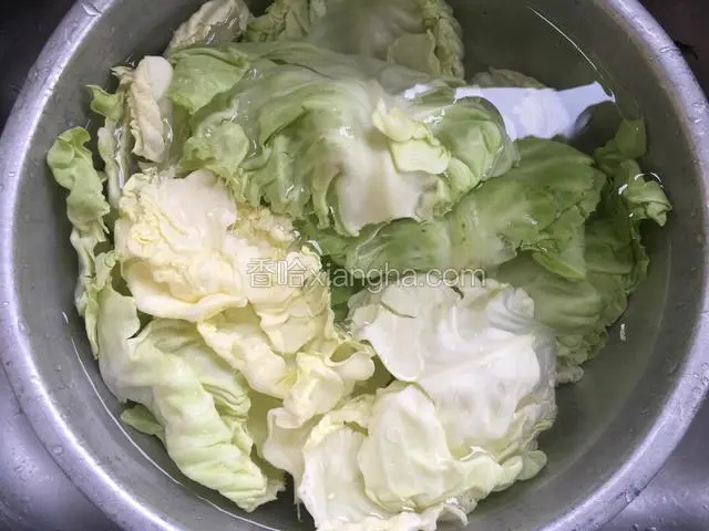 把卷心菜掰开泡在水里，撒少许的小苏打泡上半个小时去除农药。