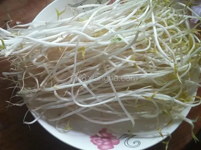 绿豆芽洗净备用