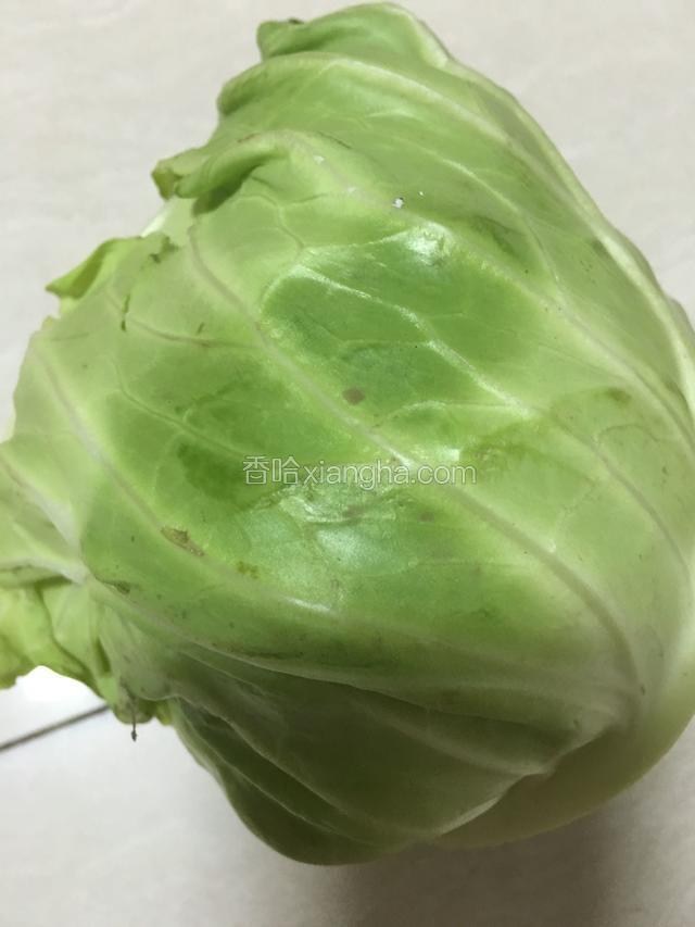 食材：卷心菜；