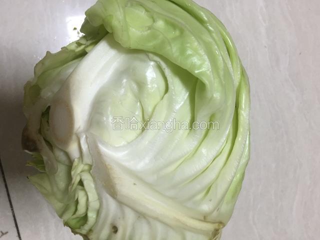 食材：卷心菜