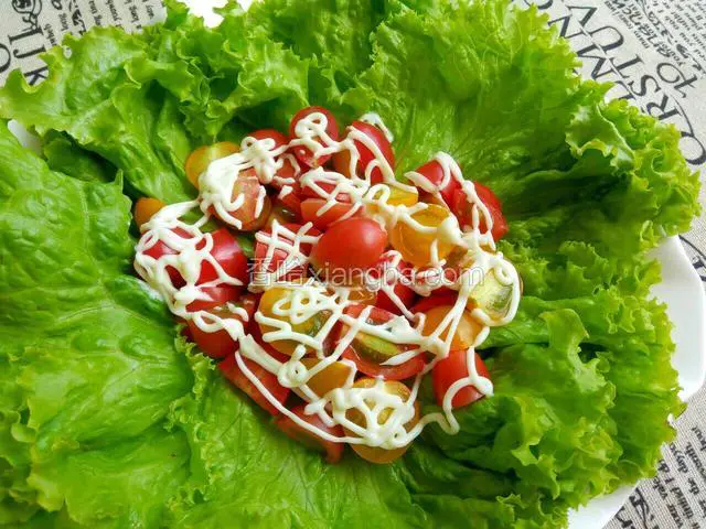 切好的圣女果摆放在生菜叶子上面，挤上沙拉酱就可以食用啦