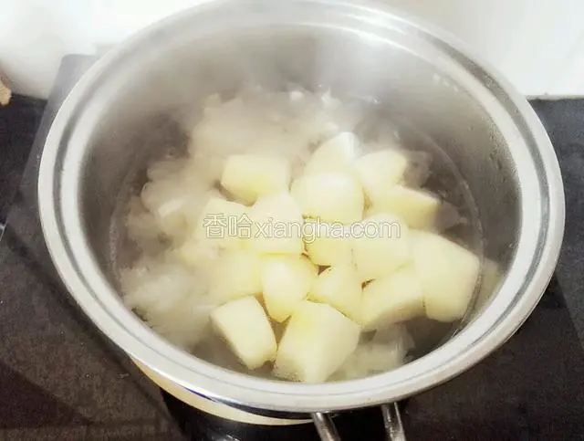 锅里水烧开将苹果和泡开的银耳一起倒入小火煮10分钟