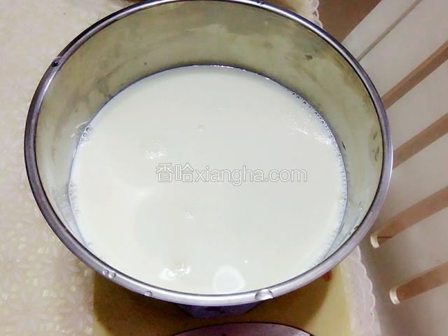 内胆杯倒入500克纯牛奶