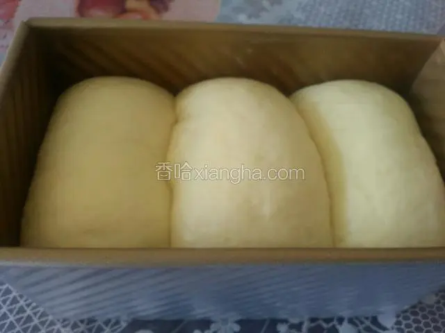 发至7-8分满，就可以，放进提前预热的烤箱，180℃，40分钟