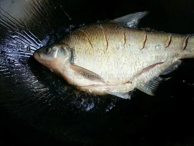 小火，把处理好的武昌鱼放入锅内，往鱼身上撒少许盐，这样做的目的是烧鱼时更入味