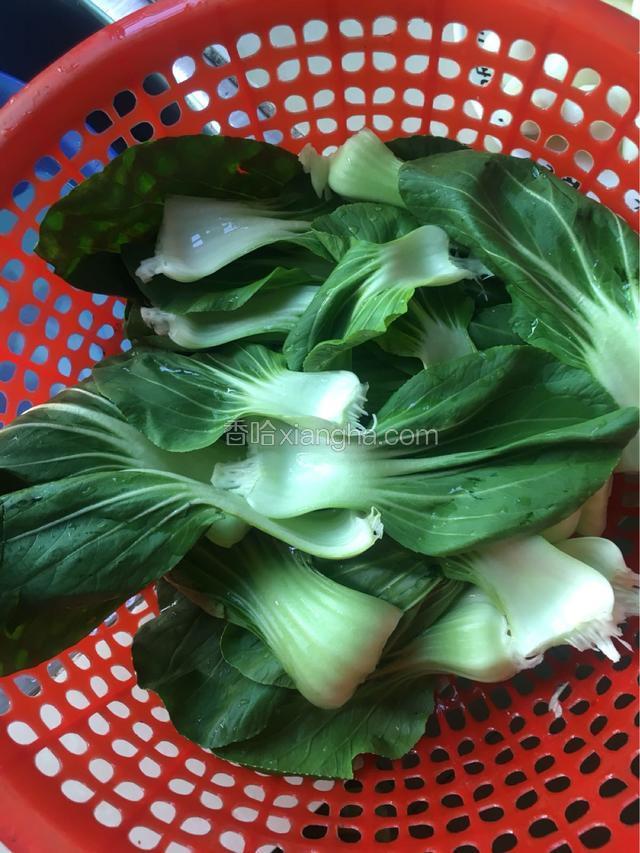 大油菜洗净沥干水分