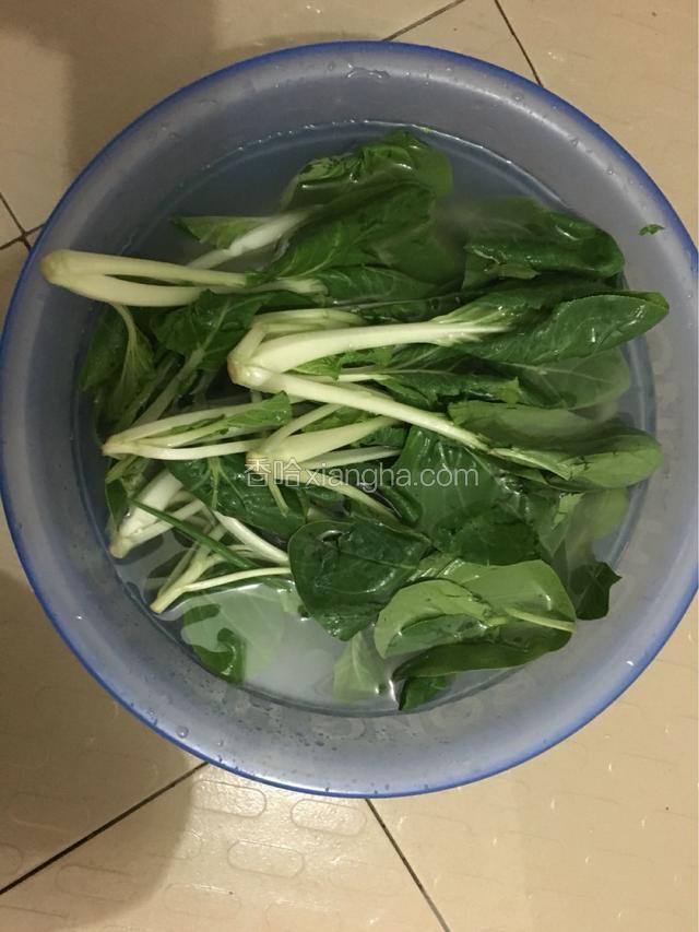 青菜在清水中浸泡半个小时