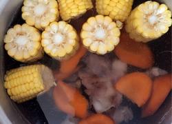 猪骨玉米红萝卜汤