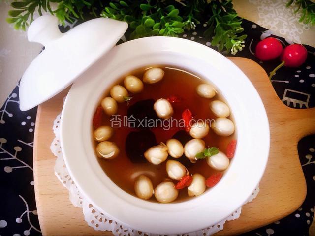 红枣莲子大麦茶