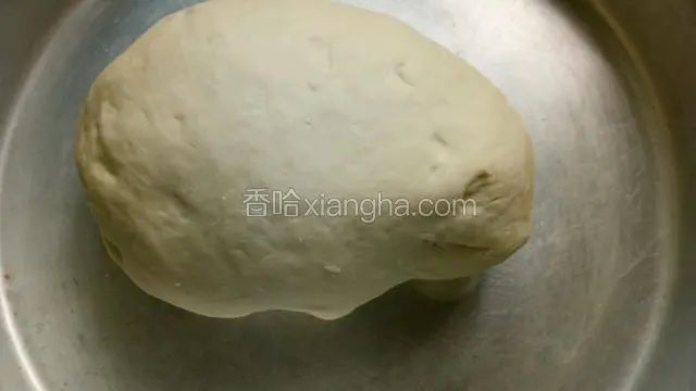 发酵好的面团揉光滑