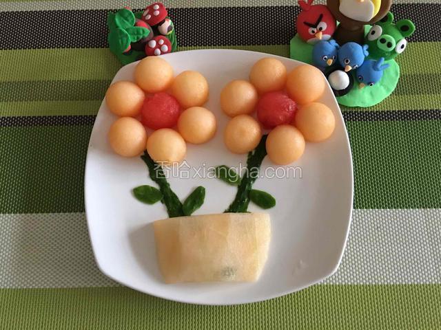 太阳花