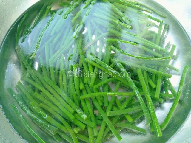 焯好的豇豆捞出马上过凉水