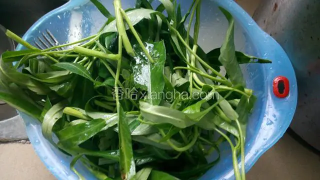 空心菜摘去老的叶子和头，洗净待用