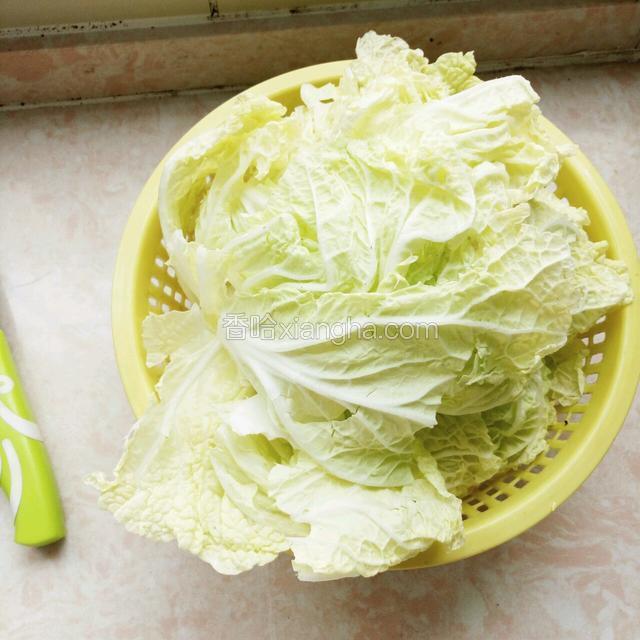 白菜用手撕好备用