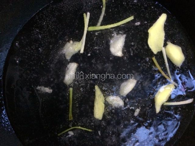 加入适量的水（有高汤更好）烧开