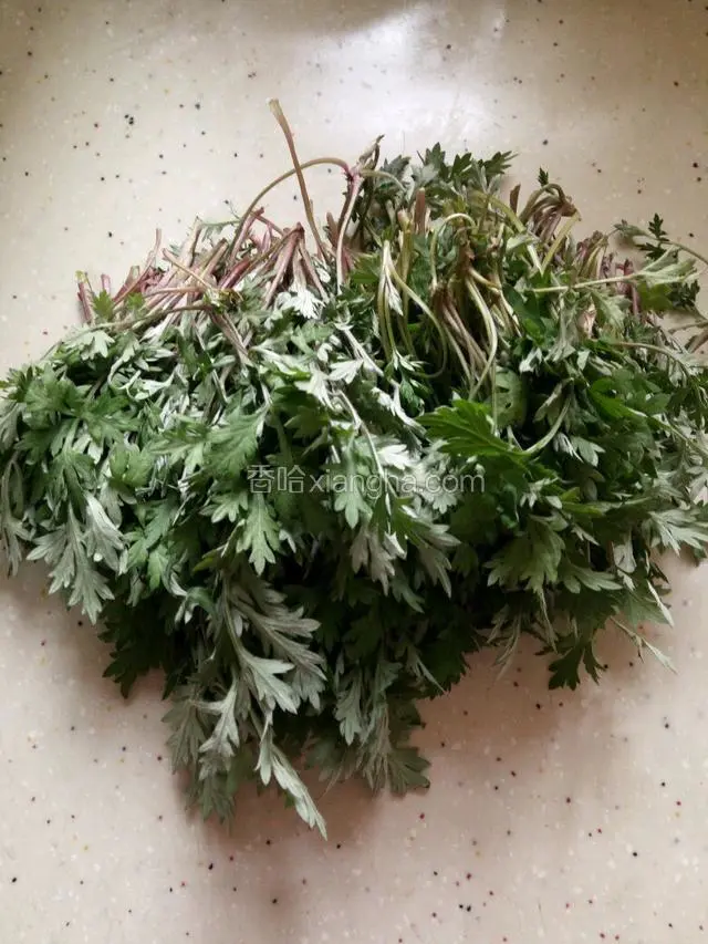 摘好新鲜蒿子