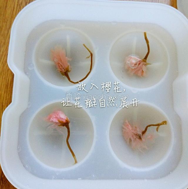 放入樱花，让花瓣自然展开。