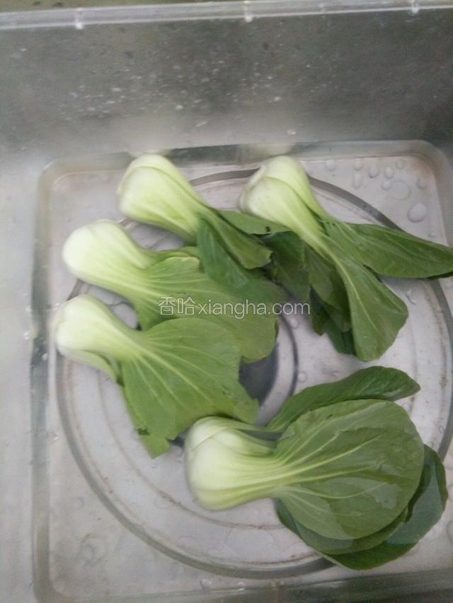 清水洗油菜。