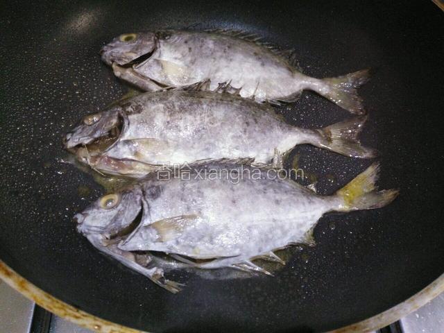 热油锅下泥猛鱼入锅煎慢煎（中小火）