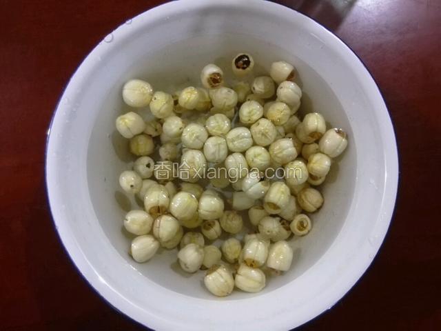 加水泡6-8小时