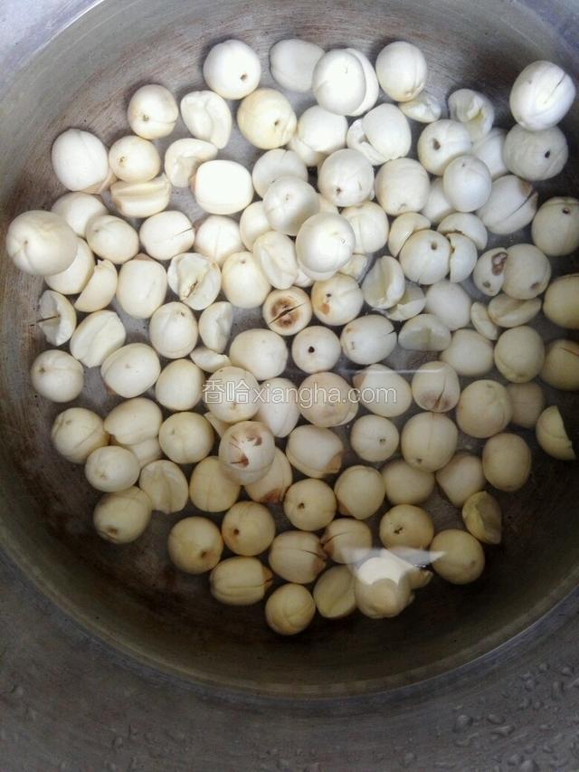 锅里加入适量水