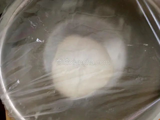 盖上保鲜膜发酵