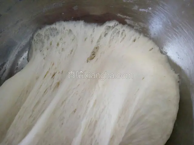 里面都是蜂窝状