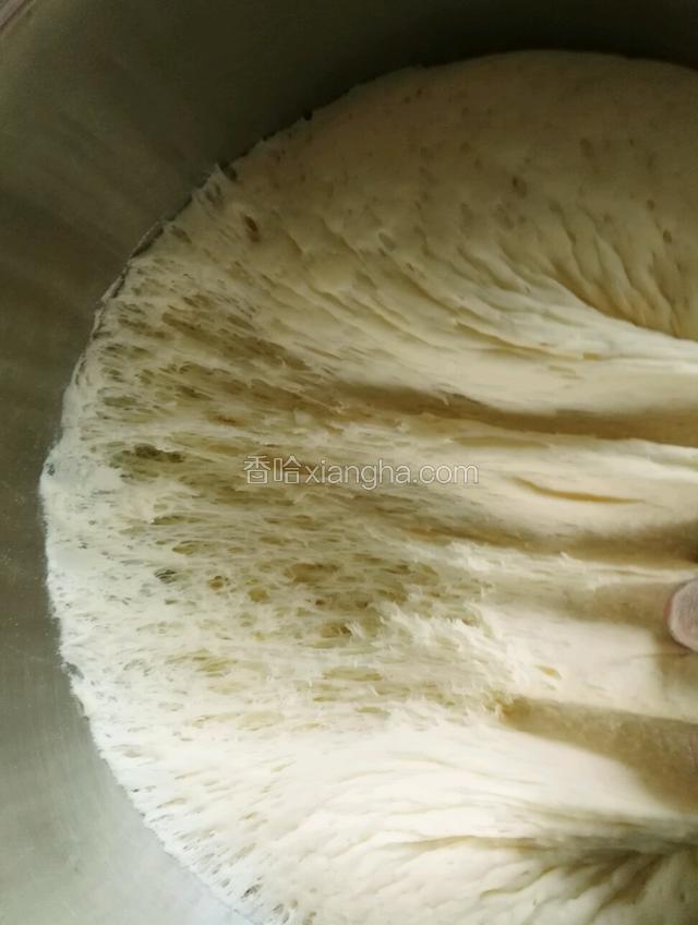 发好后好多蜂窝