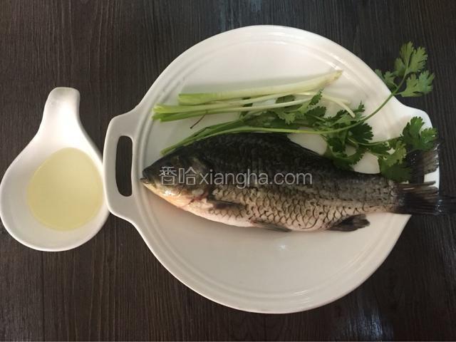 鲫鱼一条去鳞，去内脏洗净，香菜，香葱，油，姜，料酒备用