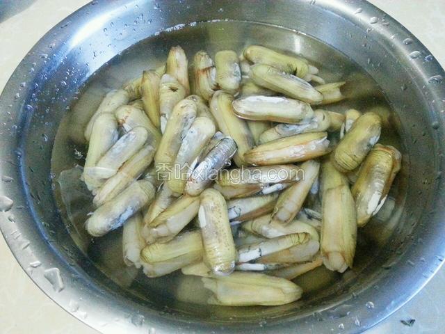 蛏子买来放在盐水中浸泡除沙