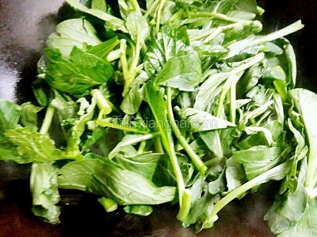 接着把菜心下锅大火翻炒几下