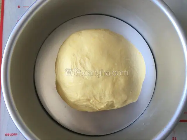 放在盆中进烤箱发酵功能60分钟