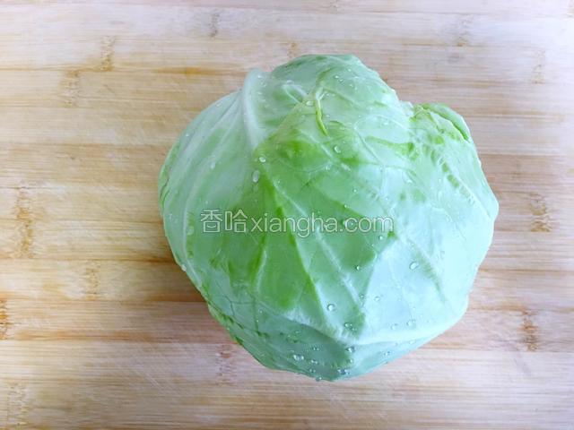 包菜洗净控水。