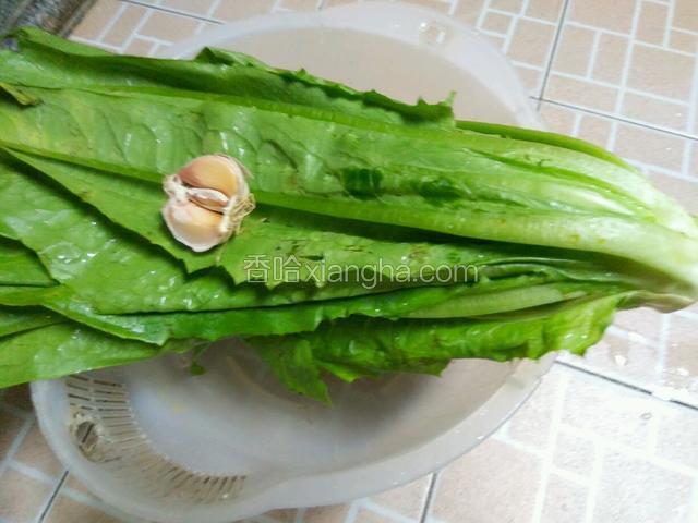 准备好食材（油麦菜，蒜）