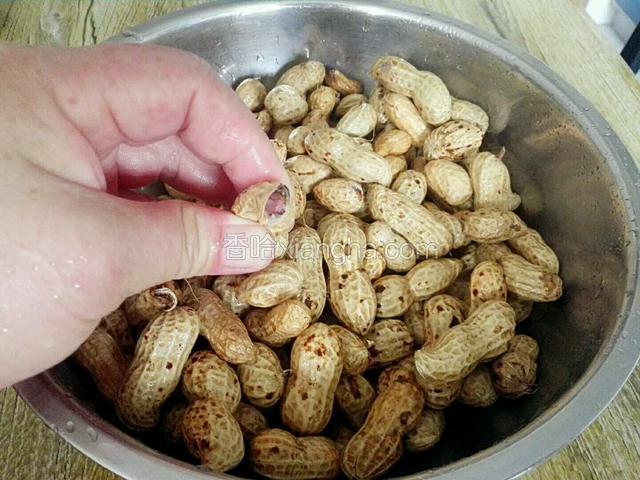 花生反复洗净泥沙，捏开一边口。
