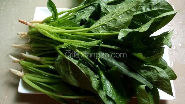 菠菜去根洗干净。