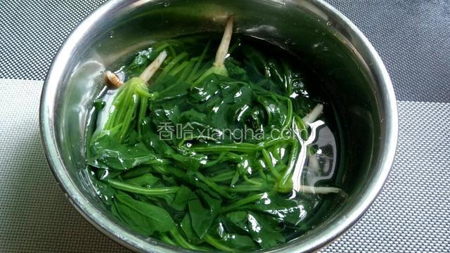 捞出放进提前装备好的凉开水里。