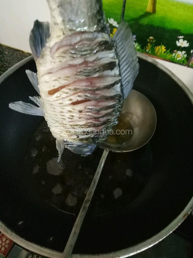 手拎着鱼尾，用勺子把油淋在鱼身上。使切过花刀处的鱼肉往外翻。