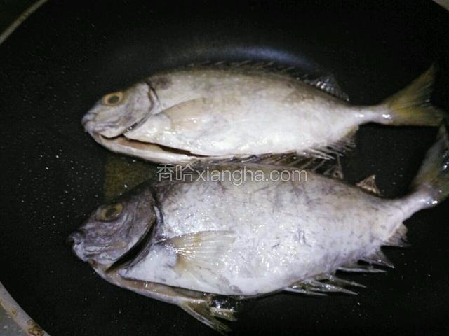 热油锅下泥猛鱼入锅煎