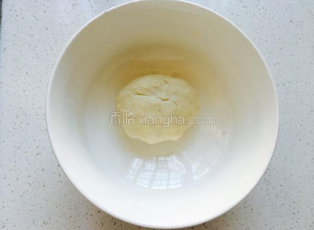 揉成面团柔软的面团。盖上保鲜膜放至温暖处发酵30分钟。