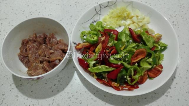 肉切片，辣椒切块，大蒜切块，姜切碎